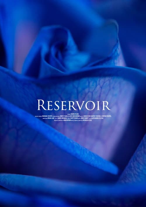Reservoir poster