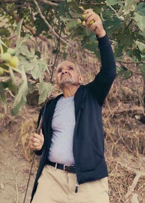 Yaroun poster