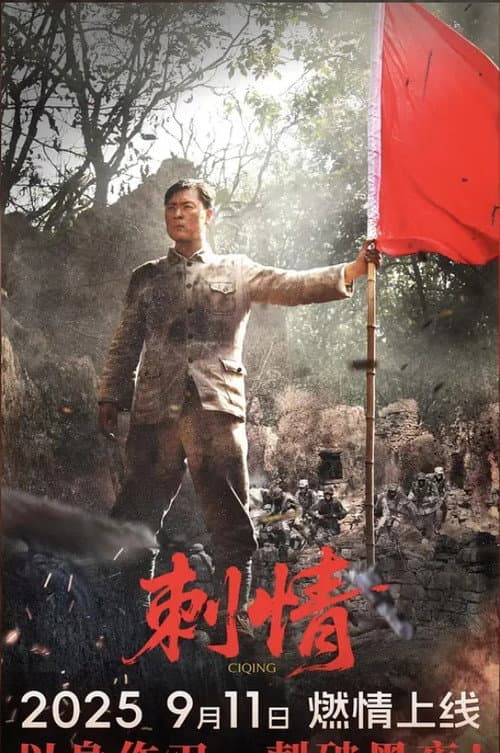 刺情 poster