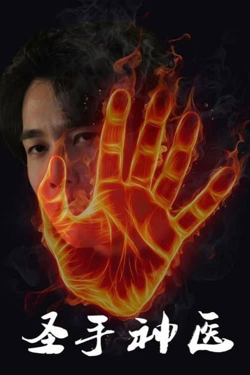 圣手神医 poster