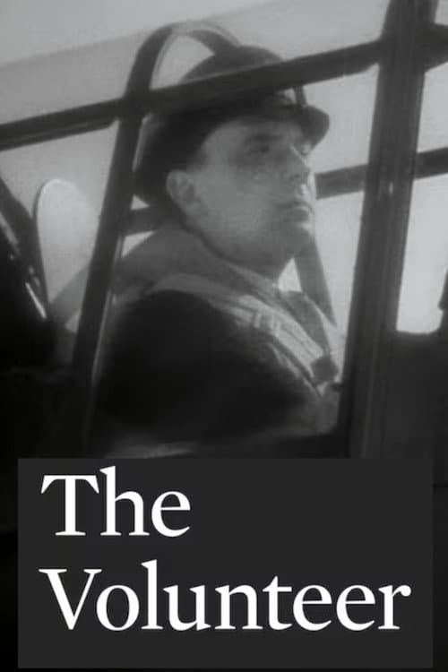 The Volunteer poster