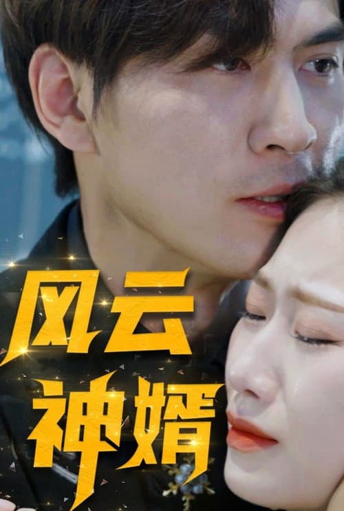 风云神婿 poster
