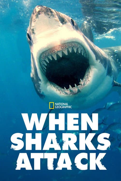 Season 5 poster