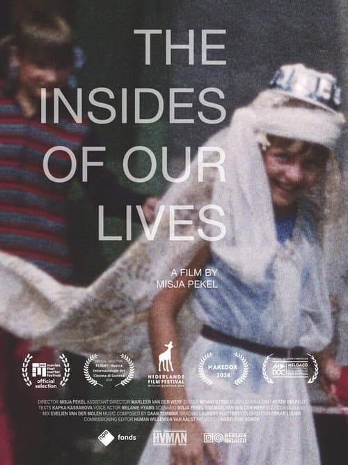 The Insides of Our Lives poster