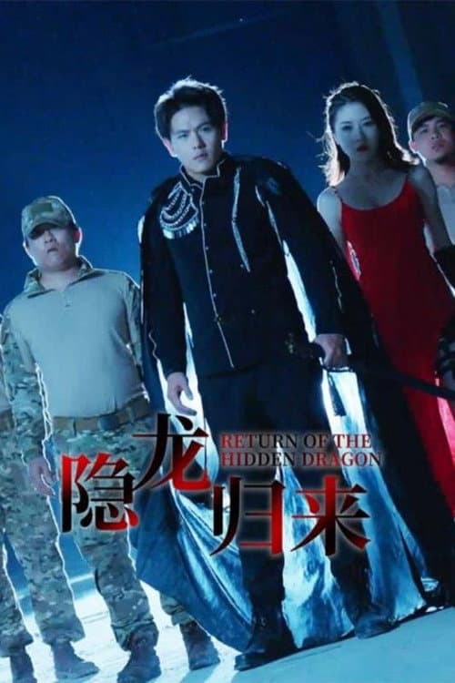 隐龙归来 poster