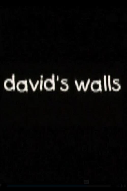 David's Walls poster