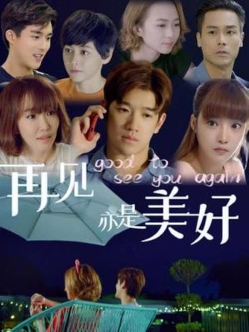 再见亦是美好 poster