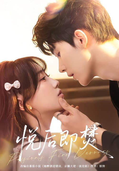 Burn After Bliss poster