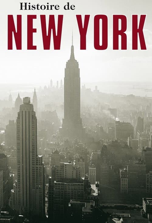 L'Histoire de New-York poster