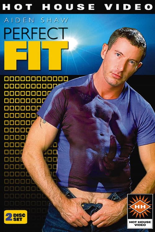 Perfect Fit poster
