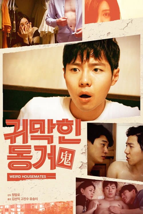 Weird Housemates poster