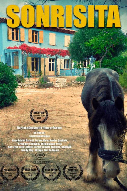 Sonrisita poster