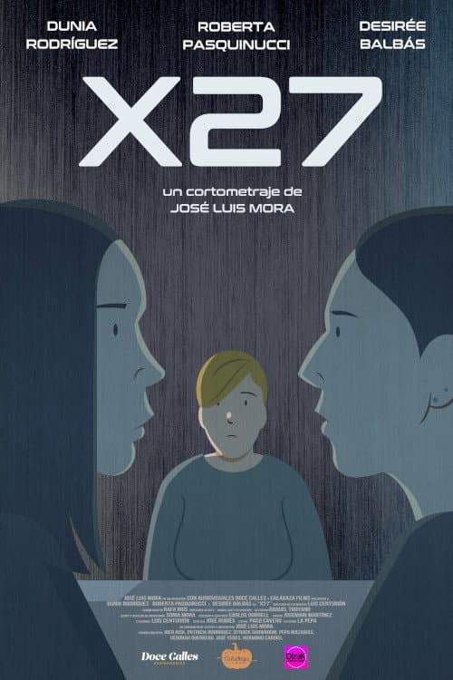 X27 poster