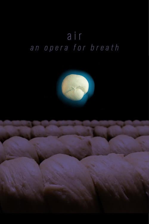 air: an opera for breath poster