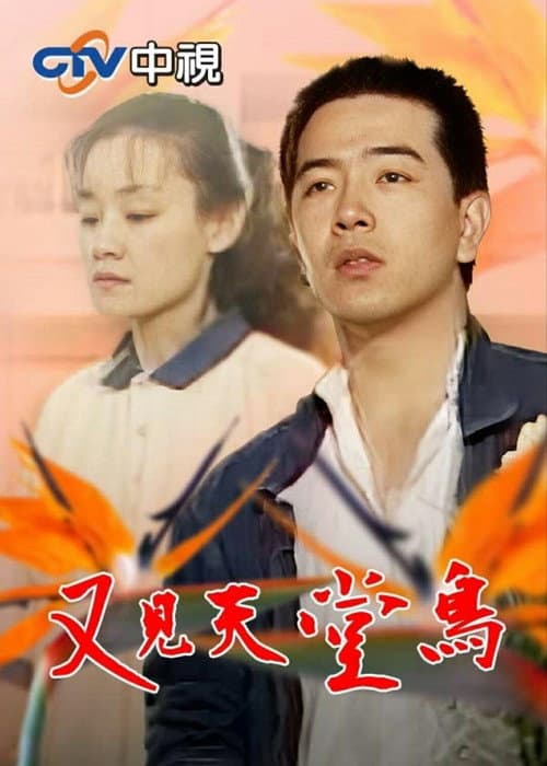 又见天堂鸟 poster