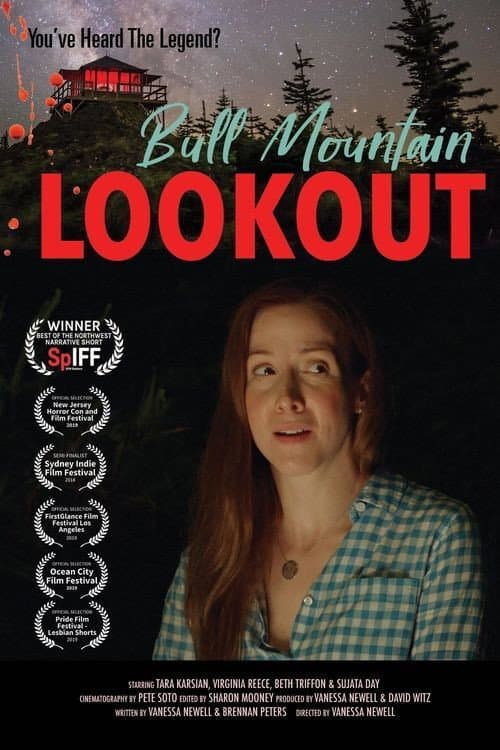 Bull Mountain Lookout poster