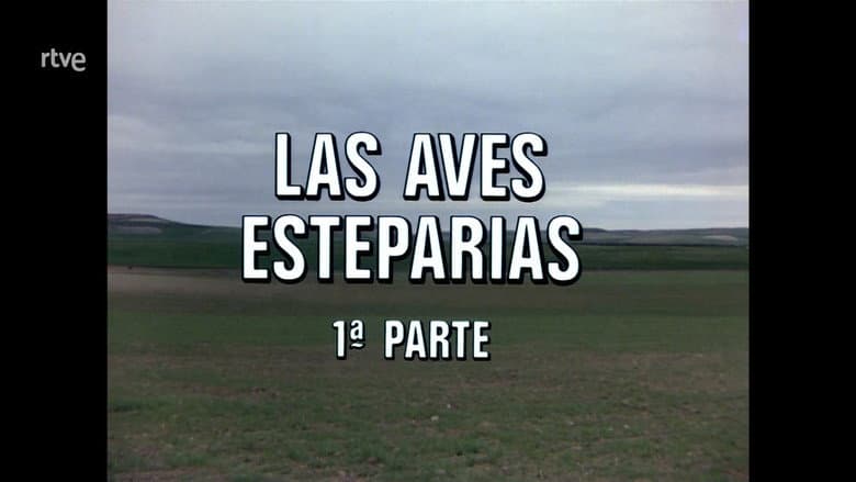 The Steppe Birds I
