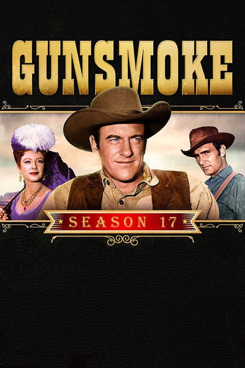 Season 17 poster
