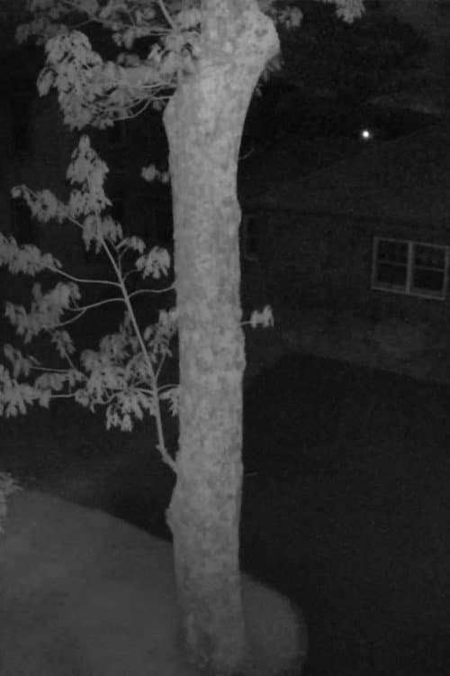 Nightvision poster