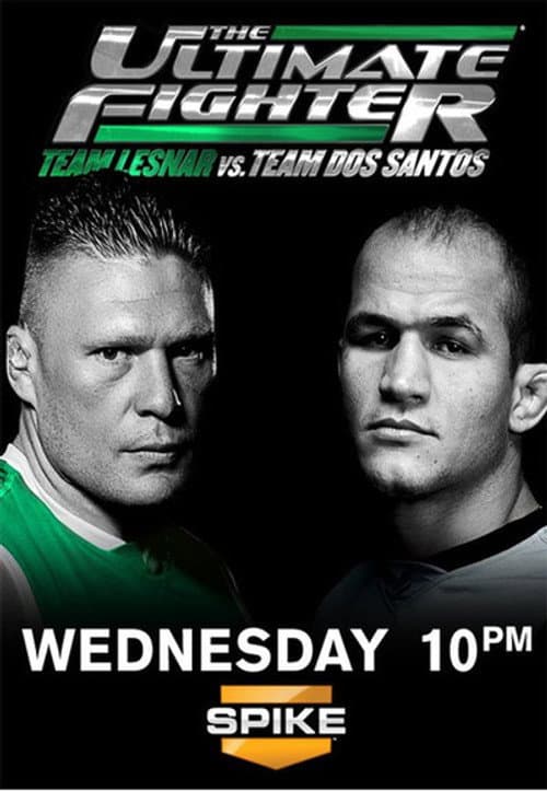 Team Lesnar vs. Team dos Santos poster