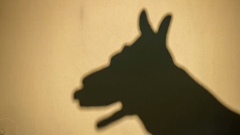 Shadow / Shade