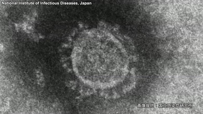 COVID-19: Fighting a Pandemic